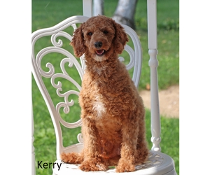 Kerry