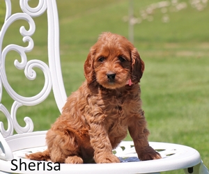 Sherisa